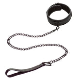 Nocturnal™ Collection Collar & Leash